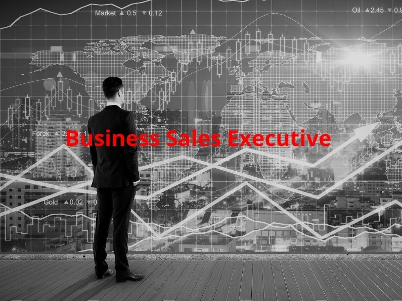 Business Sales Executive