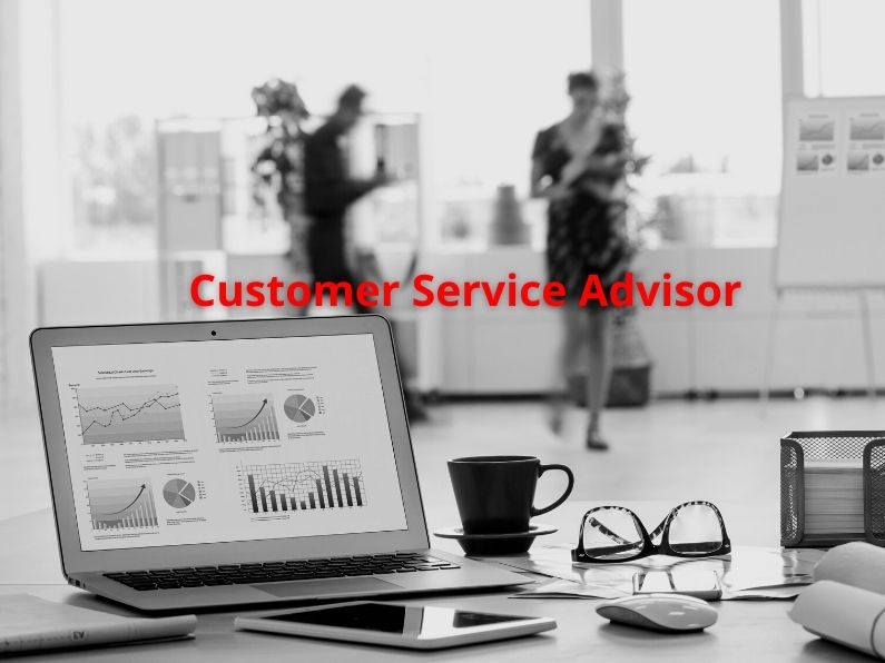 Customer Service Adviser