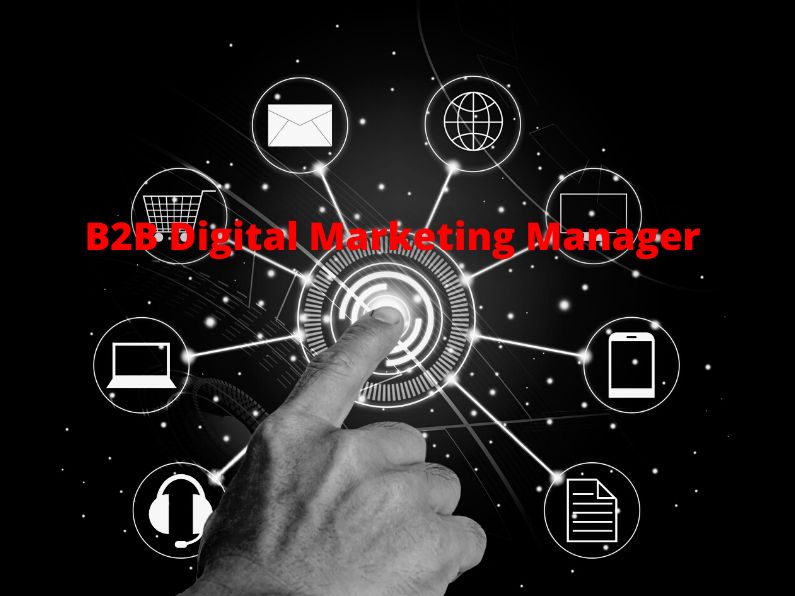 B2B Digital Marketing Manager