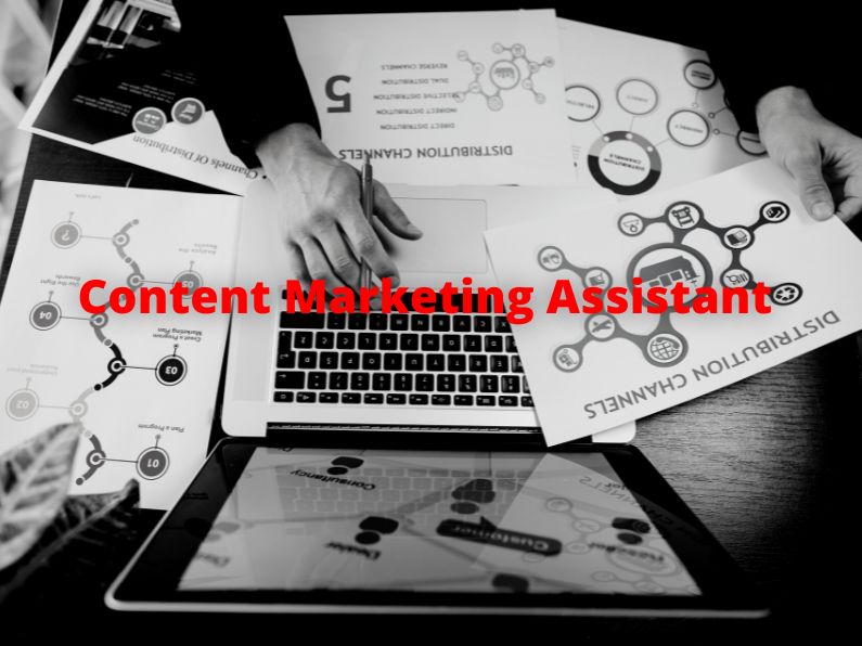 Content Marketing Assistant
