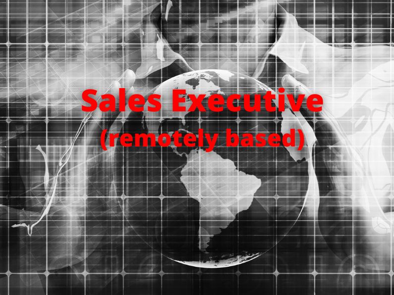 Sales Executive (remotely based)