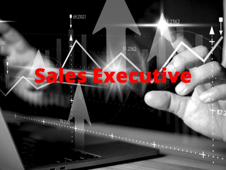 Sales Executive