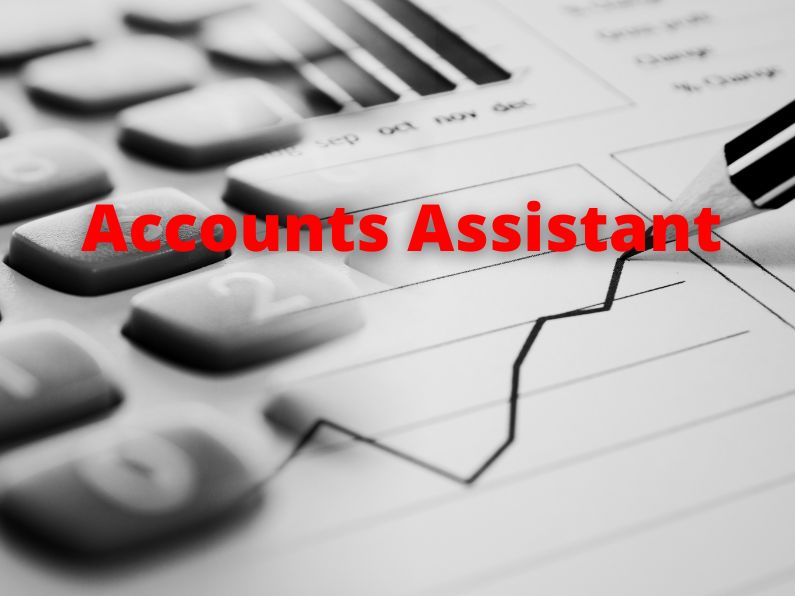 Accounts Assistant