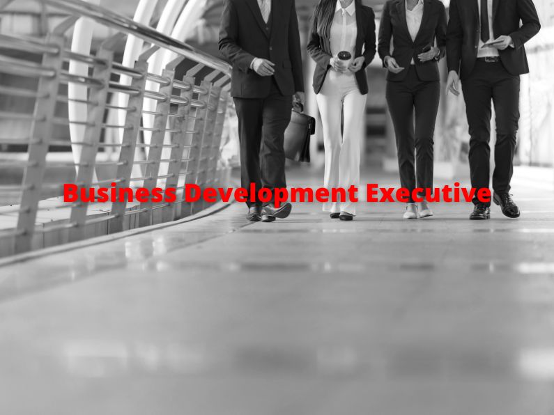 Business Development Executive